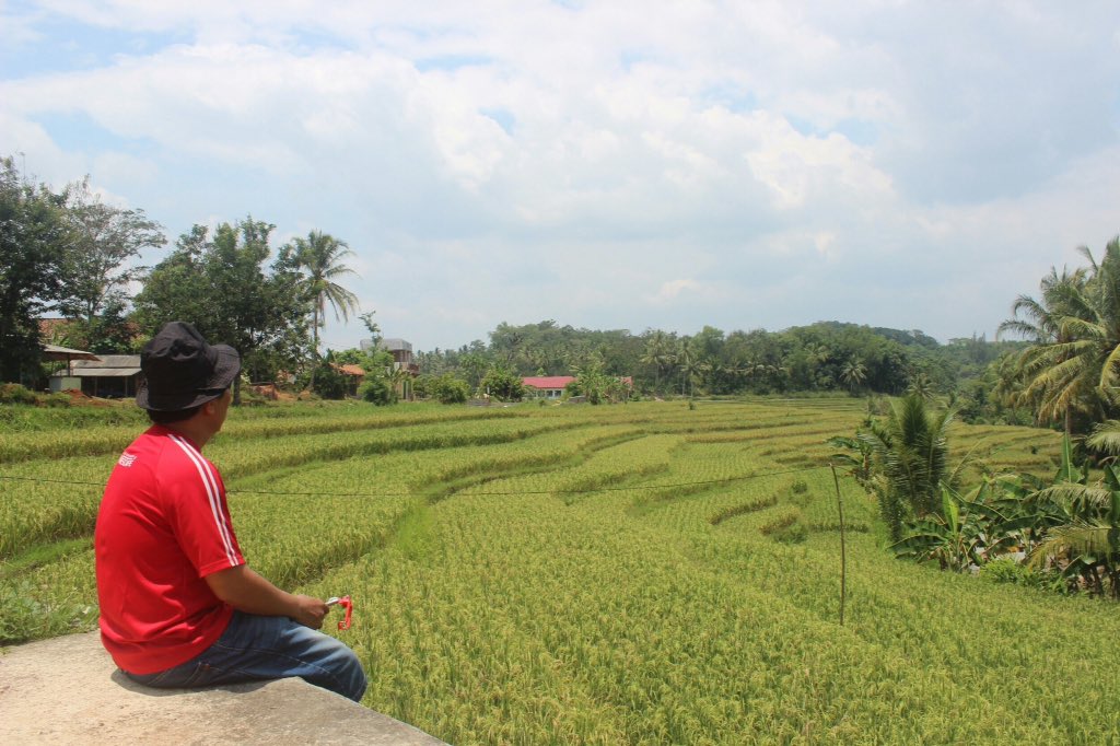 kakak_zack's tweet photo. Happy holiday travelers, met pagi @Pringsewuupdate Bumi Jejama Secancanan 📍Talang air @lnfolampung @explorelampung https://t.co/ePK8MdzS3p
