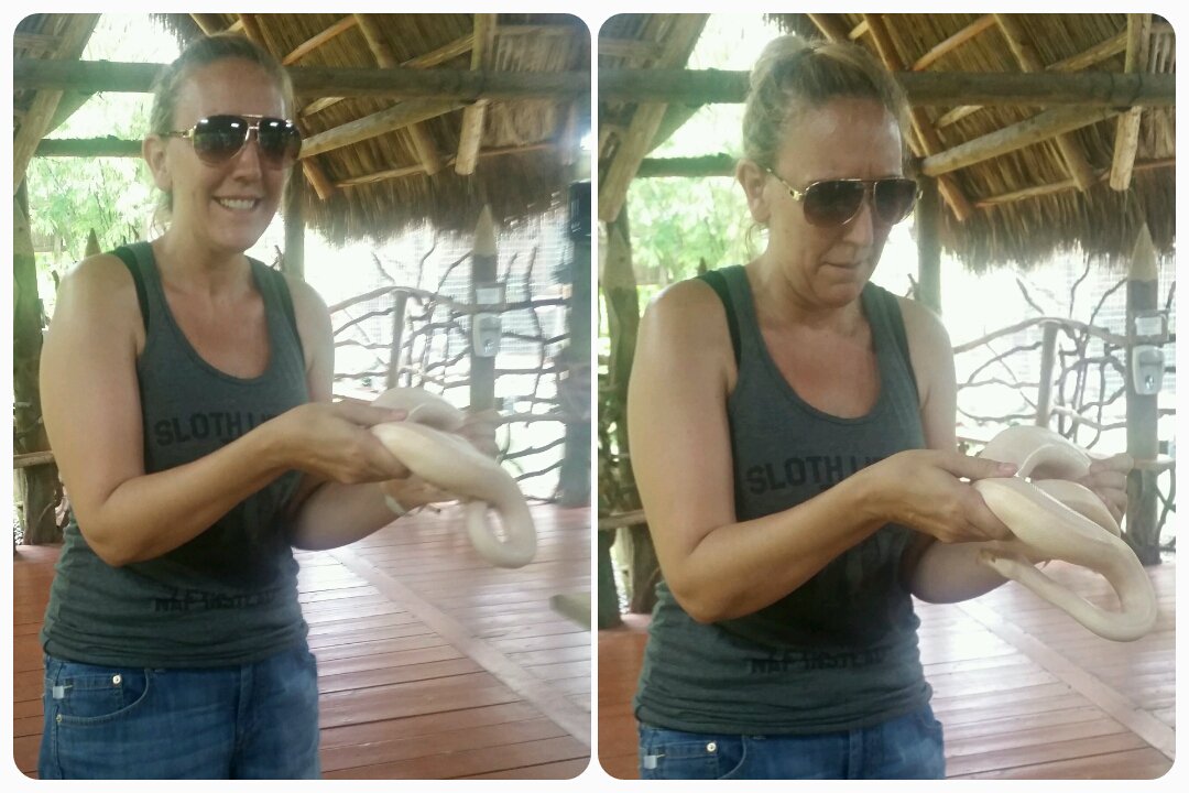 JillAPall's tweet photo. I was absolutely terrified, but I held a snake for 1st time ever, @JakeSnakeDDT.
#For2Seconds #NeverAgain #Nope https://t.co/dNKa4WjmSH