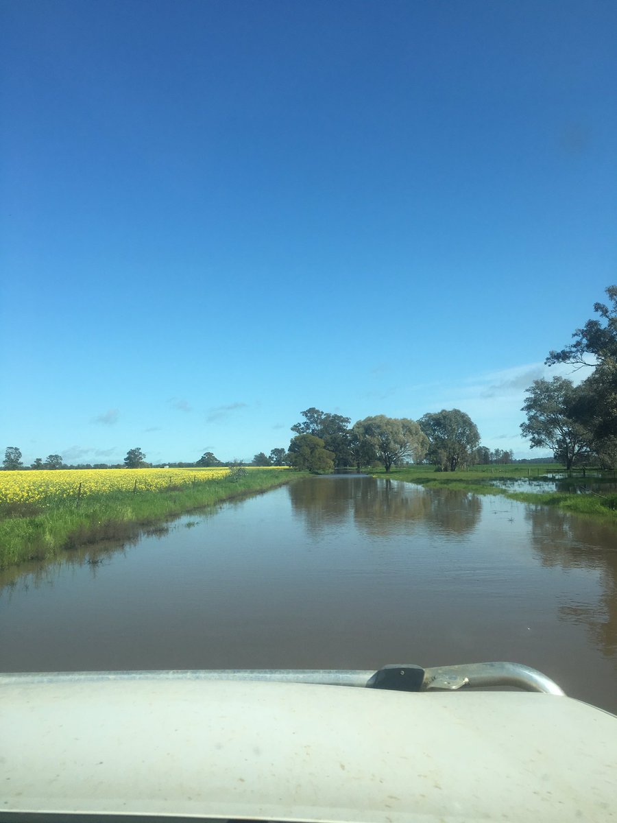 A wet start to #grdcspringtour #commitment #waterviewsatwilga