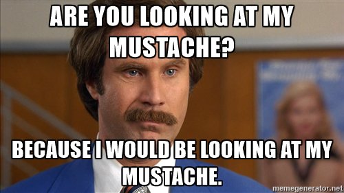 braggedocious's tweet photo. @kristlejones I figured you would like this.
#majesticmustache https://t.co/XDJ9mE4KpL