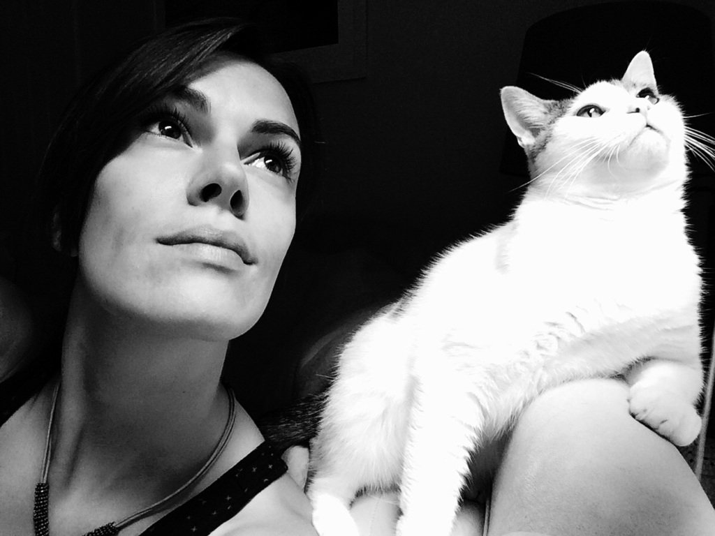 Cute_and_Food's tweet photo. "317 days ago I shared a photo of my kitten in a sweater. Today I present to you a dramatic cat selfie." via #catpi… https://t.co/LZ2D9Zpc77