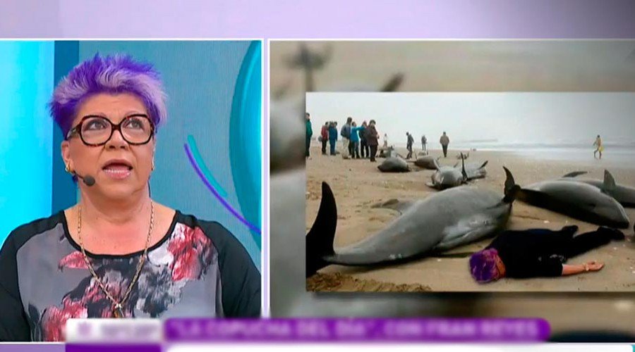 agustin flores tweet media