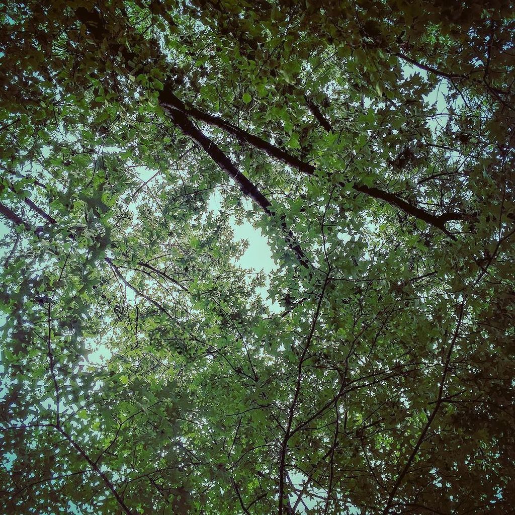 run little girl don't wait
id slow you down trust me
you don't need the extra weight
just … ift.tt/2ctBze3