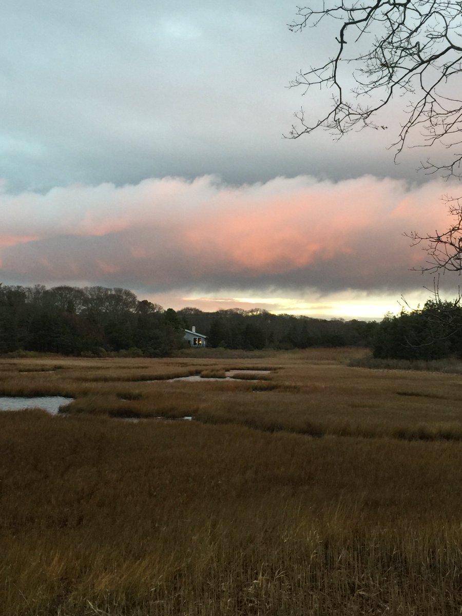 Early morning on #MarthasVineyard