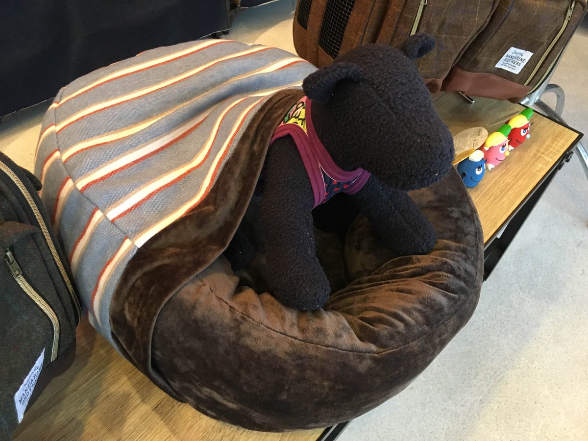 evoldog_UN's tweet photo. 新商品②
ぬくぬく気持ちよさそうな姿にメロメロに・・！？
その名も、もぐりんベッド！やわらかで手触りの良い素材の本体部を覆うカバーが一体になっているので保温性バツグン★カバー部は織り込めばカドラーに大変身！もぐるの大好きな子にどうぞ https://t.co/cvAOijsTK7