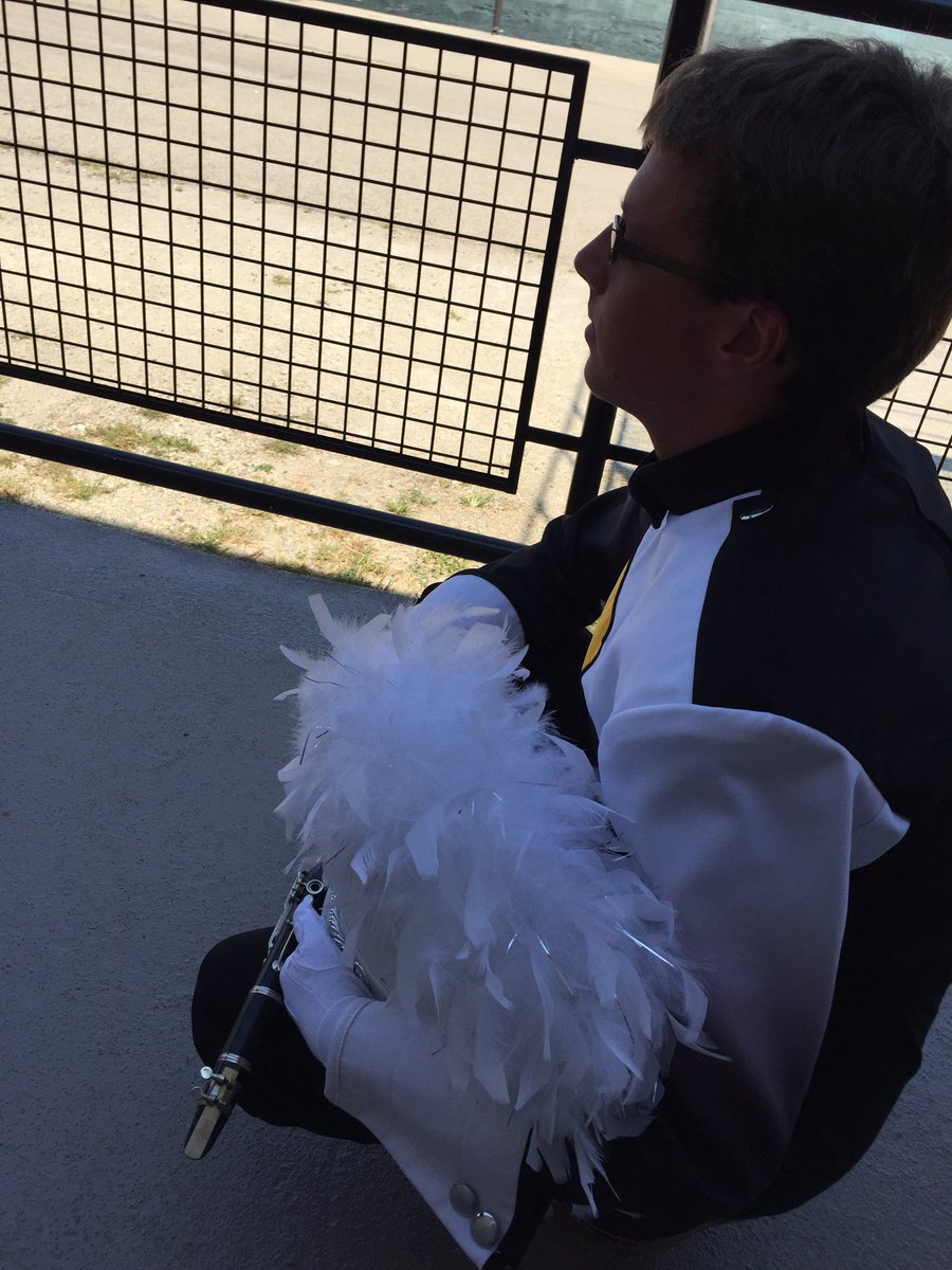 Lisa Surber Strawser (LisaSurberStra1) Twitter