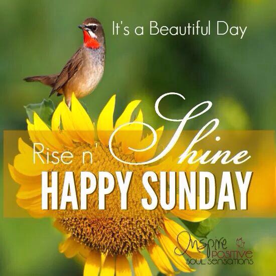Rakeshsinghraka's tweet photo. https://t.co/RfdJsstlTE