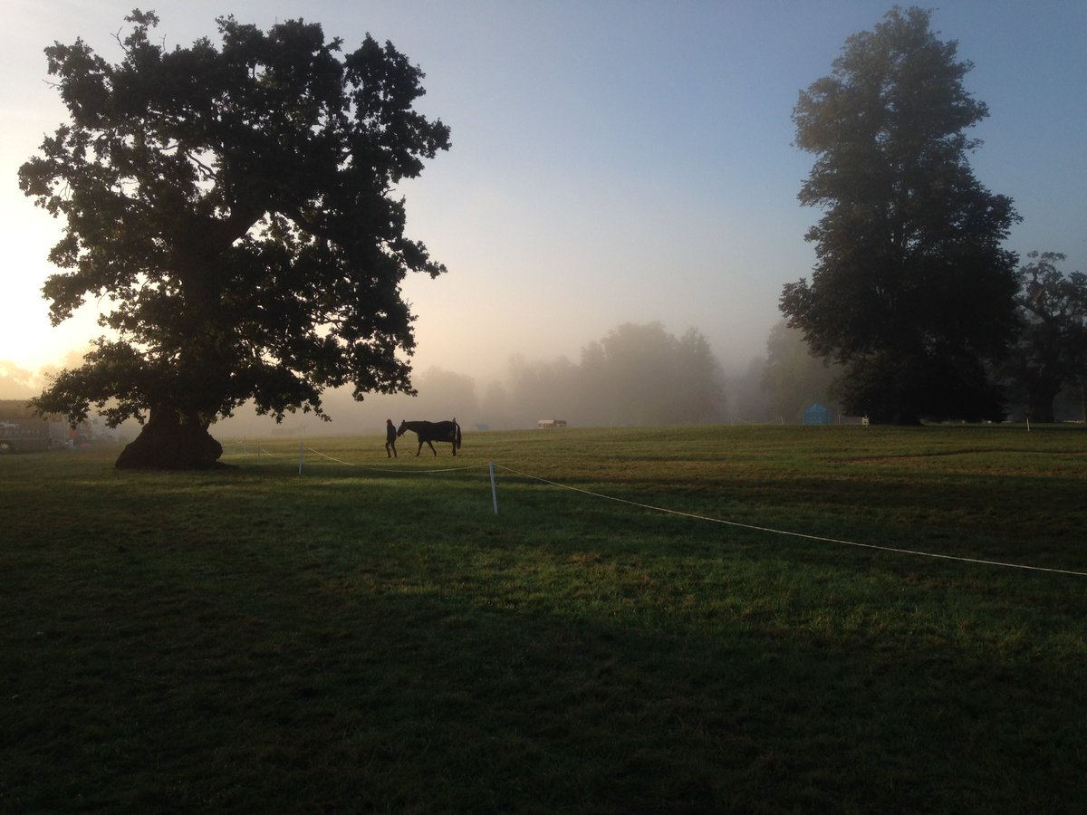 LauraAnneHuddle's tweet photo. No filter needed, beautiful morning at @BlenheimHorse https://t.co/mU7wIEE1hi