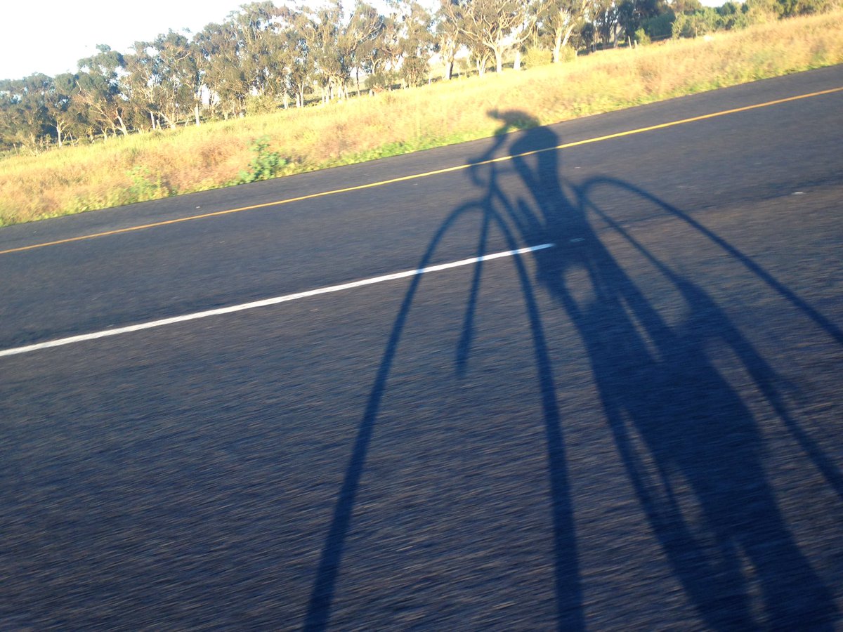 My training partner this morning