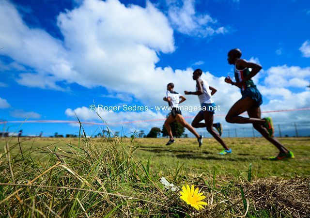 rogersedres's tweet photo. The South African Cross Country championships in #George. #athletics #crosscountry #nikonl… https://t.co/rwBfYcyjV9 https://t.co/5xreEZRSIb