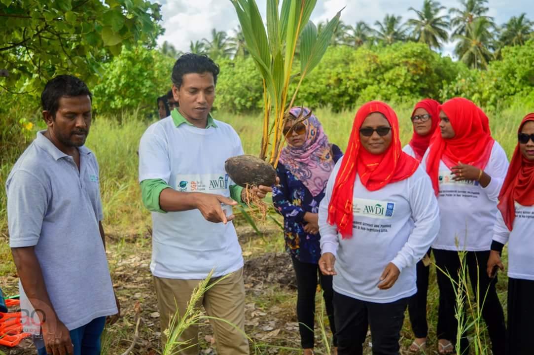 AWDI2007's tweet image. Starting GEF SGP program.