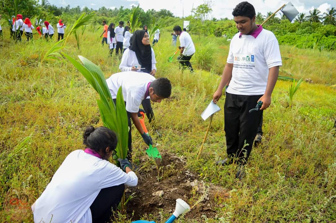 AWDI2007's tweet image. Starting GEF SGP program.