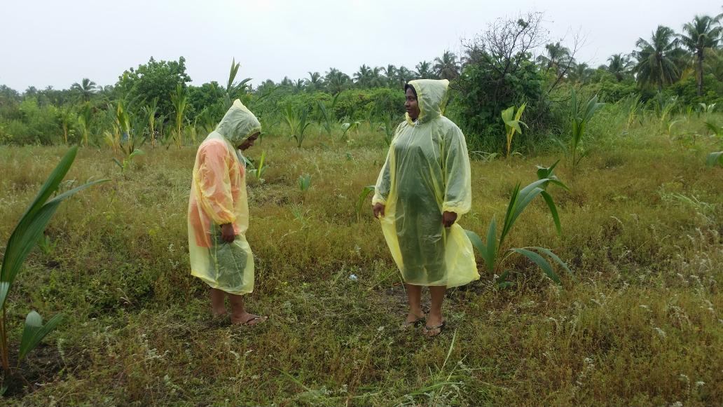 AWDI2007's tweet image. The 2nd day .