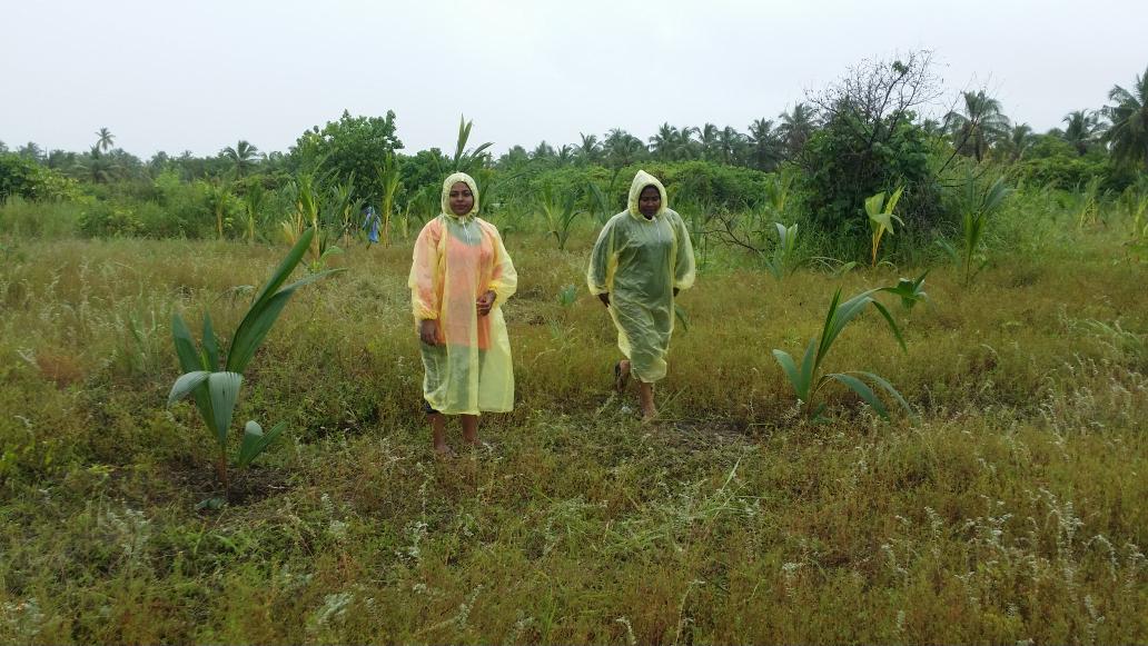 AWDI2007's tweet image. The 2nd day .