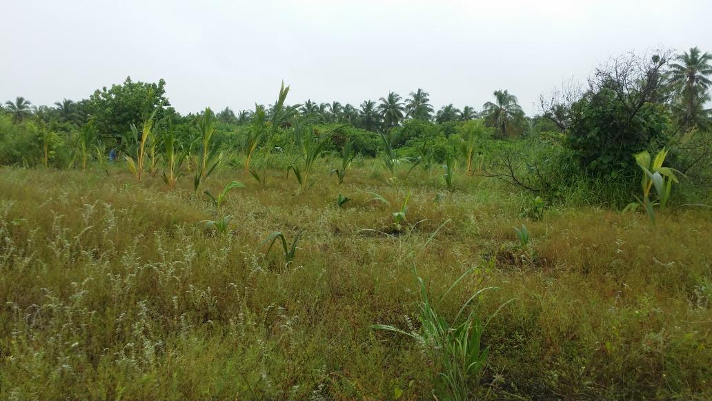 AWDI2007's tweet image. The 2nd day .