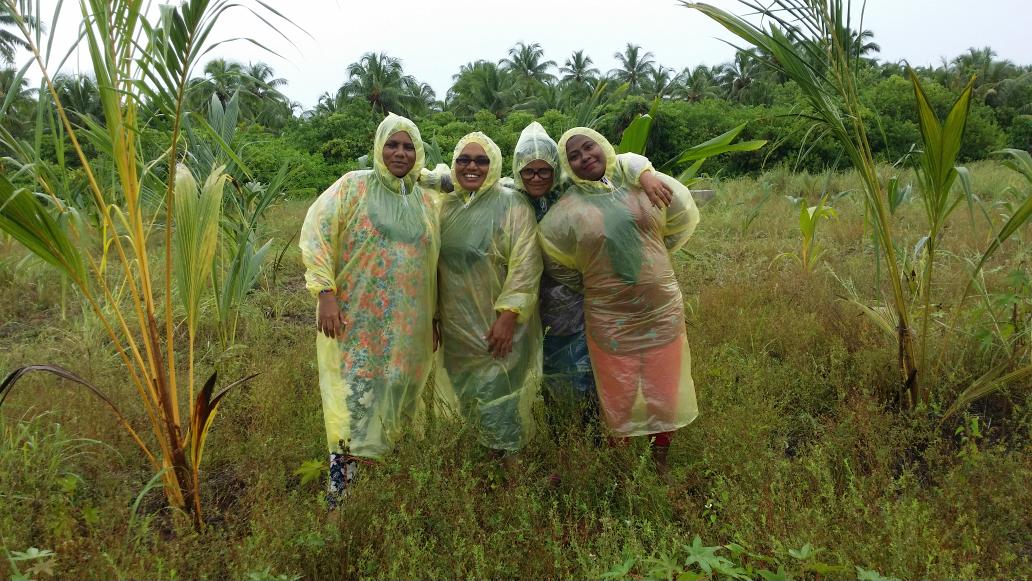 AWDI2007's tweet image. Coconut farm. day 4