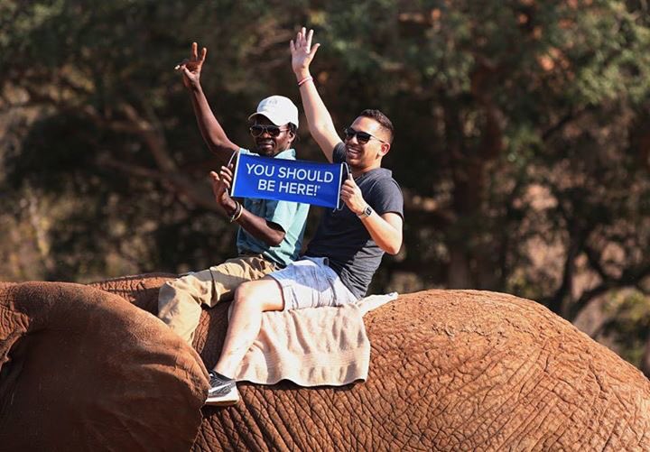 DTLocal's tweet photo. What a view! Our Members recently enjoyed a thrilling Dream Elephant Experience in #SouthAfrica! #TravelYourCity https://t.co/o67BufmmA6