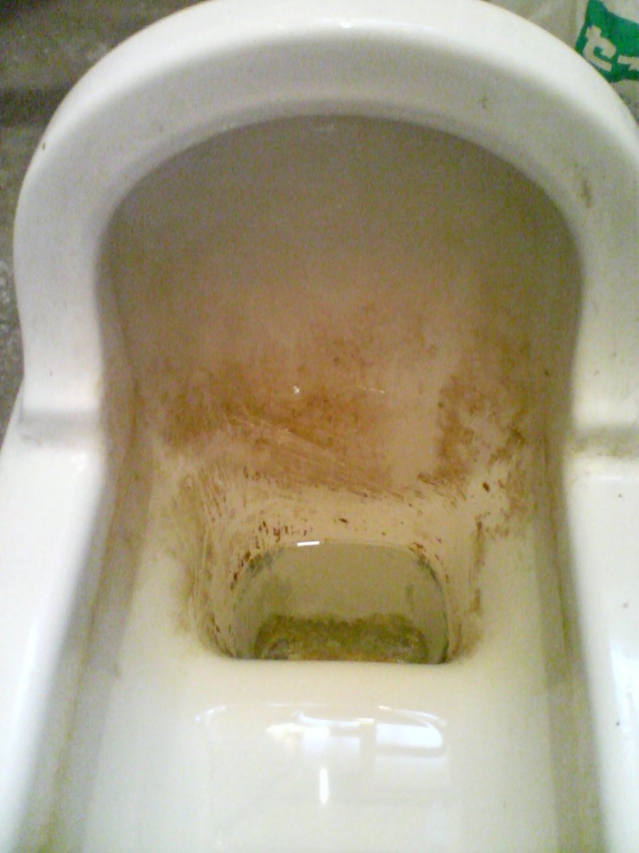 風炉の丘 No Twitter 凄いよサンポール 引っ越してきた時から既に黄ばんでいた便器 どんなに擦っても取れなくて諦めていたのですが 10分ほどの掃除でこんなに綺麗になりました こりゃあ便所の女神様もお喜びですな サンポール トイレ掃除