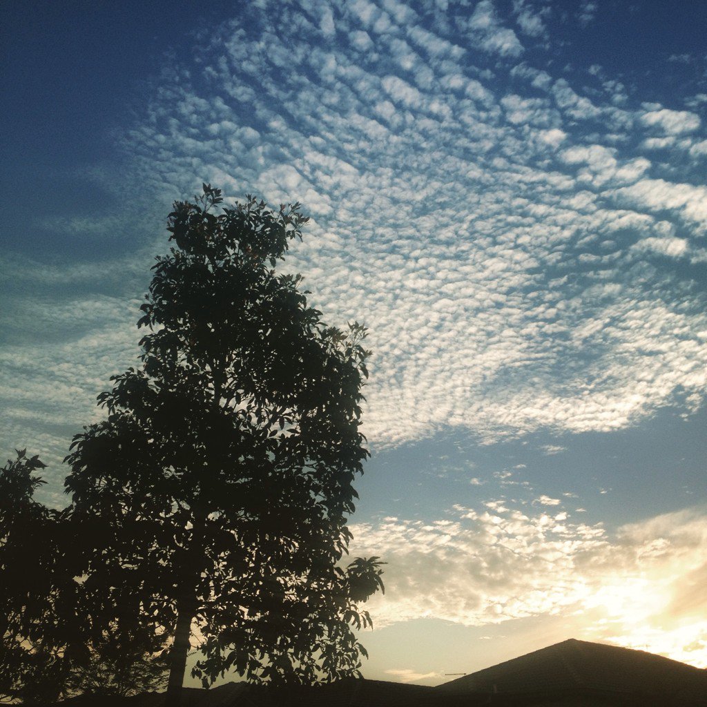 Diva_Don's tweet photo. Beautiful evening for walk #sunset #Brisbane #QLD #AustraliaLife https://t.co/KKZejZRGE9