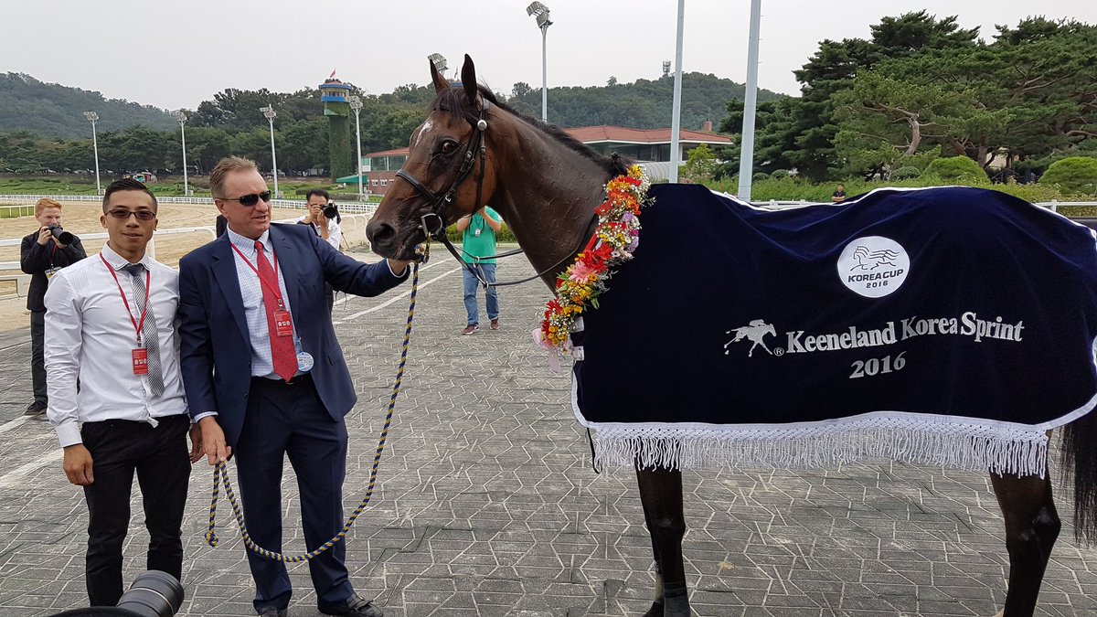 SAHorseracing's tweet photo. Victory to Millard and Teetan on Super Jockey @KarisTeetan @krapresenter @HKJC_Racing @korearacing #KRA2016 https://t.co/UtFLK24jH9