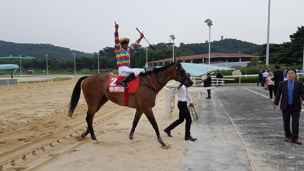 SAHorseracing's tweet photo. Victory to Millard and Teetan on Super Jockey @KarisTeetan @krapresenter @HKJC_Racing @korearacing #KRA2016 https://t.co/UtFLK24jH9