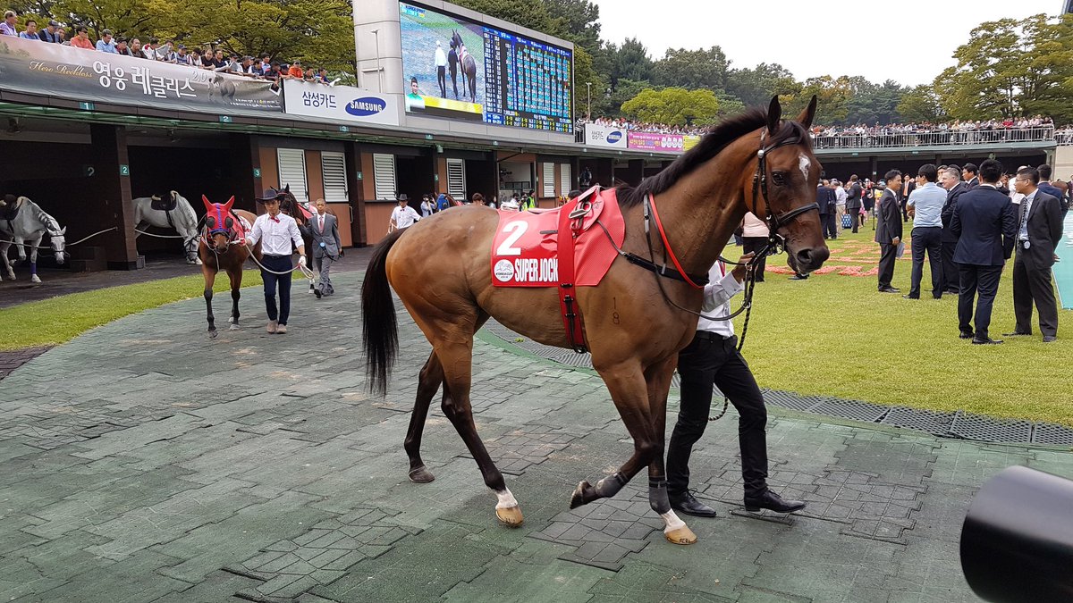 SAHorseracing's tweet photo. Victory to Millard and Teetan on Super Jockey @KarisTeetan @krapresenter @HKJC_Racing @korearacing #KRA2016 https://t.co/UtFLK24jH9