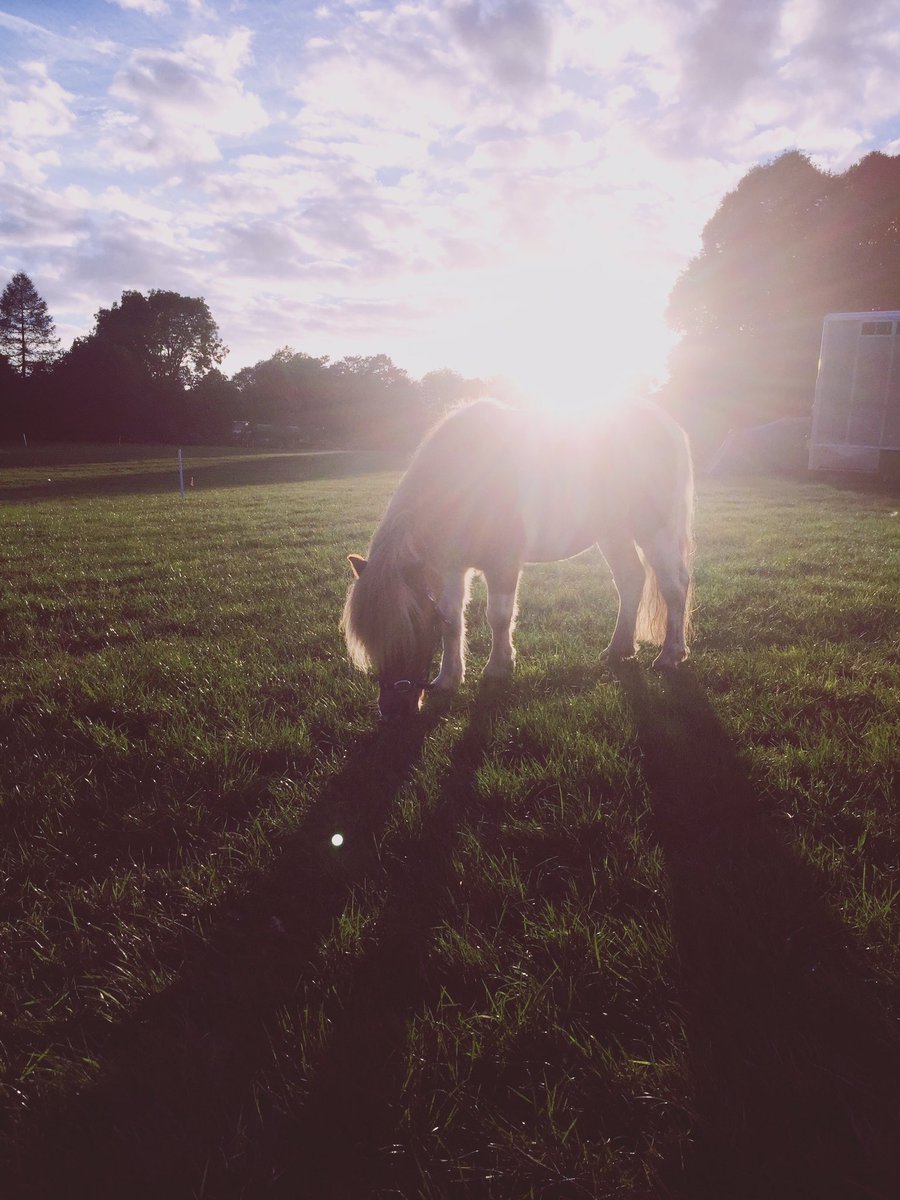 Claire Friend tweet media