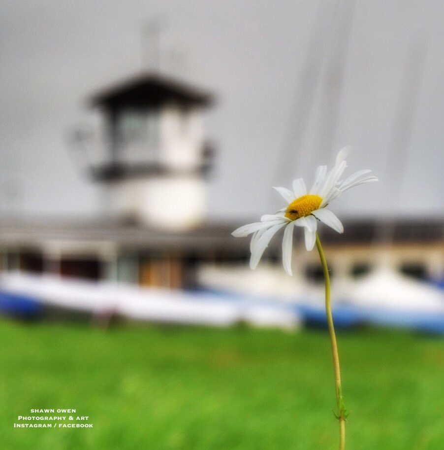 Instagram.com/sophotog_art Faceboom.com/sophotogart. #London #photography #art #urbanbeauty #NewYork