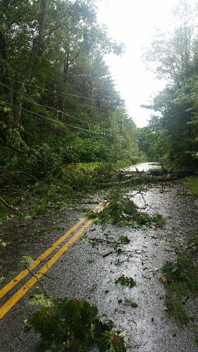 View image on Twitter View image on Twitter