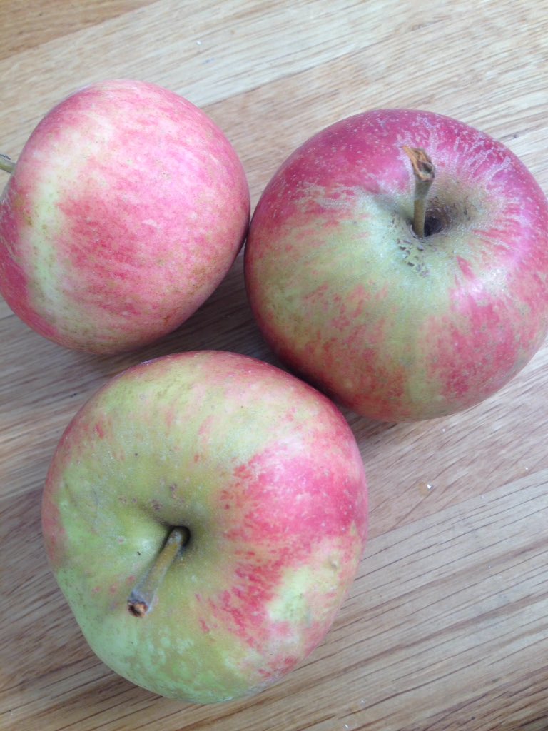 soaring_hi's tweet photo. Such #deliciousapples @BarcombeOrganic https://t.co/fK4dC8qLBU