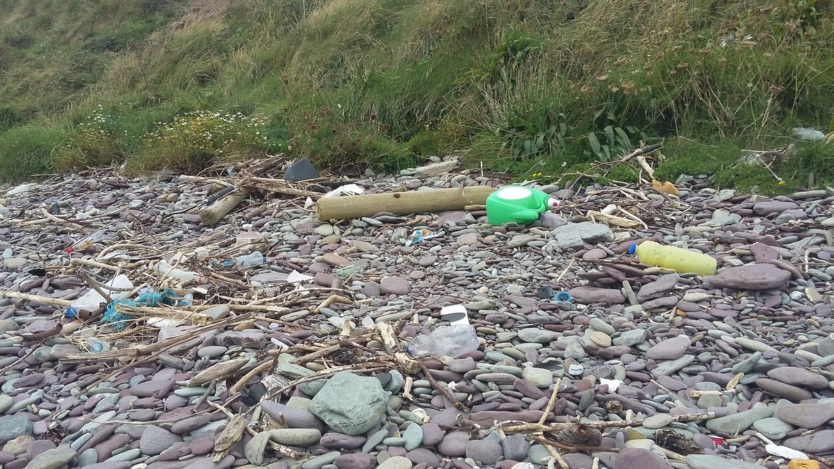 RachelAStroud's tweet photo. Inspired by Catarina's poster? @Niall__Tierney & I up for beach clean before dinner. Keen? #IWSGconf #5minbeachclean https://t.co/7X3iQkRUeH