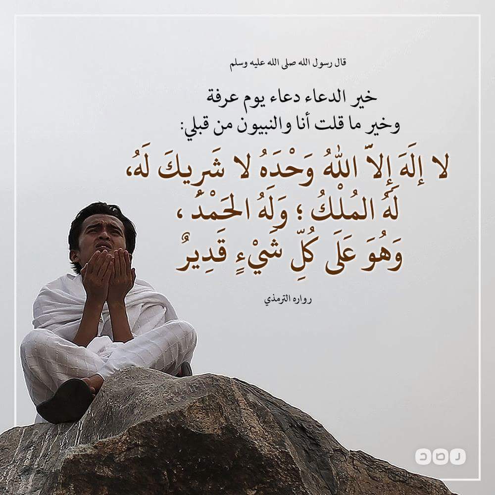 الاصيل البيطرية (@fangama83) on Twitter photo 