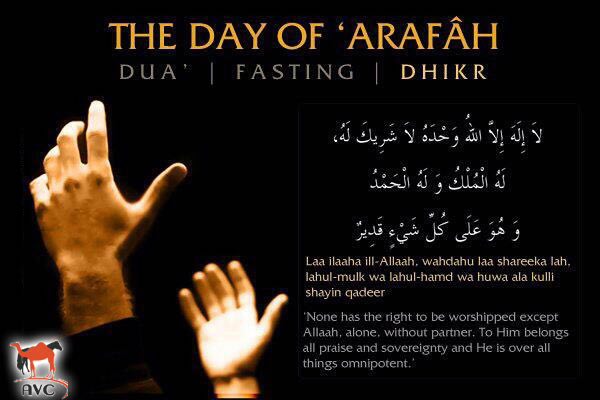 الاصيل البيطرية (@fangama83) on Twitter photo 