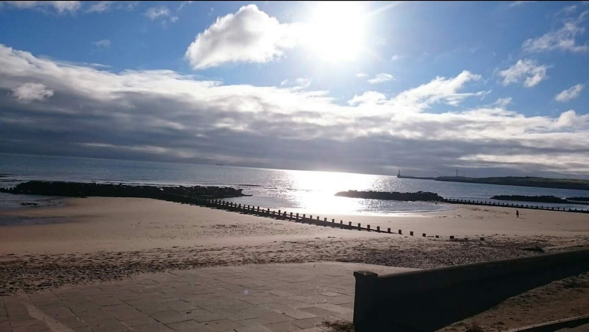 NeilDrysdale's tweet image. 