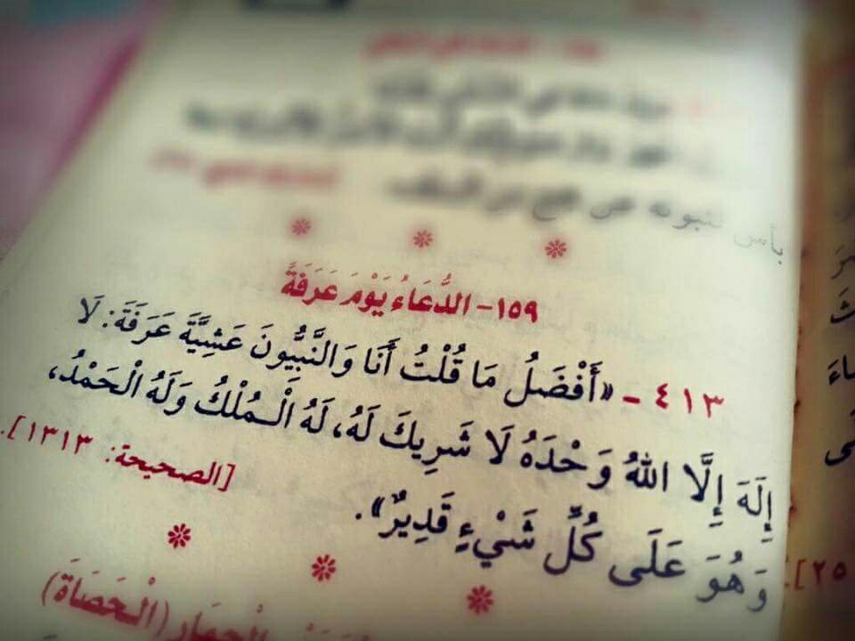 miloobetkari's tweet photo. لا إله إلا الله وحده لا شريك له له الملك
وله الحمد وهو على كل شئ قدير"❤🌹 https://t.co/vuxRJ1WeOq