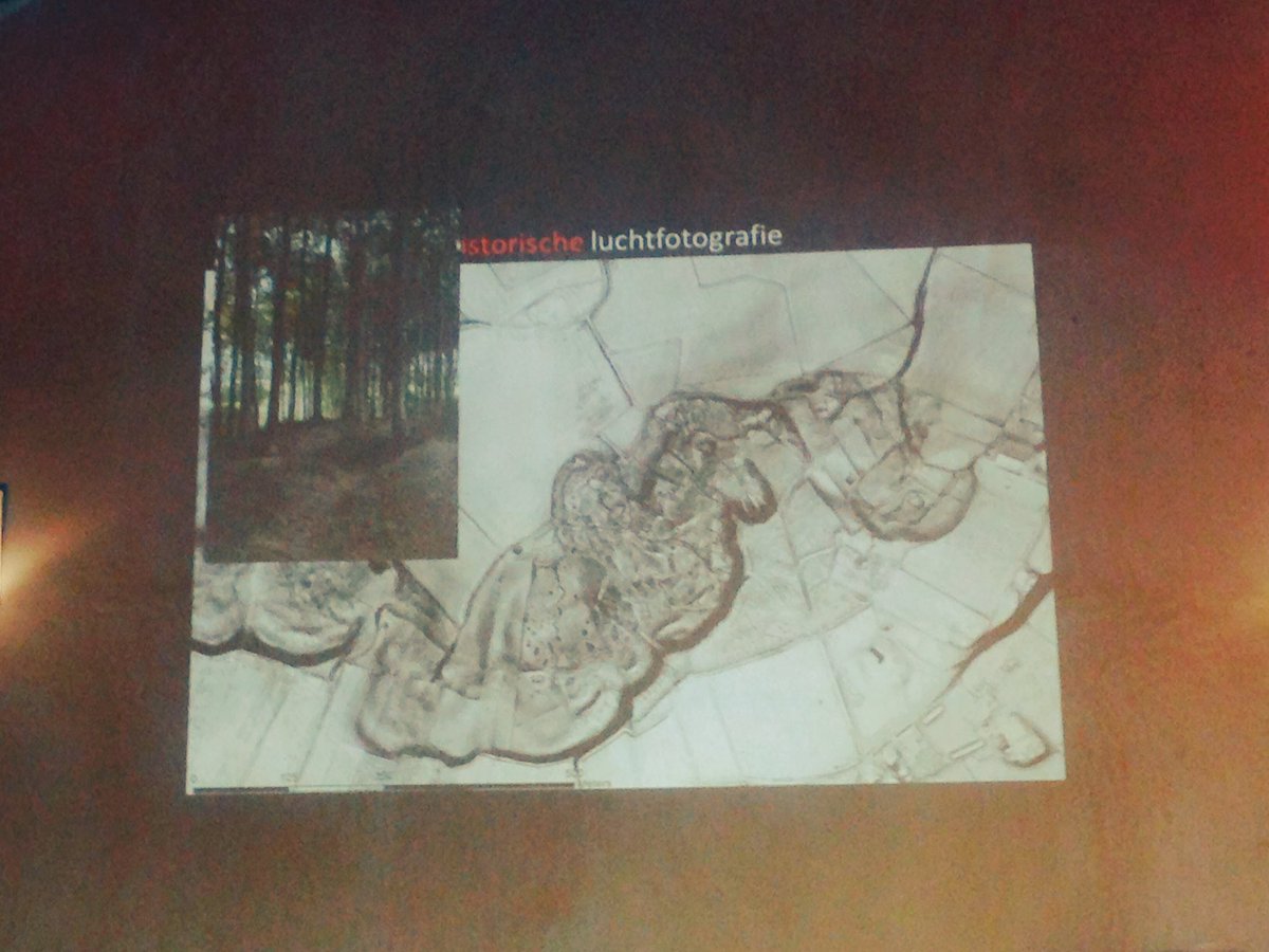 LienLombaert's tweet image. #landschap als #monument #loopgraven door #lidar zichtbaar onder de bomen van de #koppenberg @ArcheoUGent #omd2016