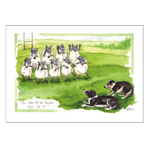 MillstonesCG's tweet photo. Collie Card
https://t.co/CSlSPQ2hdq
#collie #bordercollie #bordercollielove #colliesrock #colliesrule #collies https://t.co/icPKVJCIoM