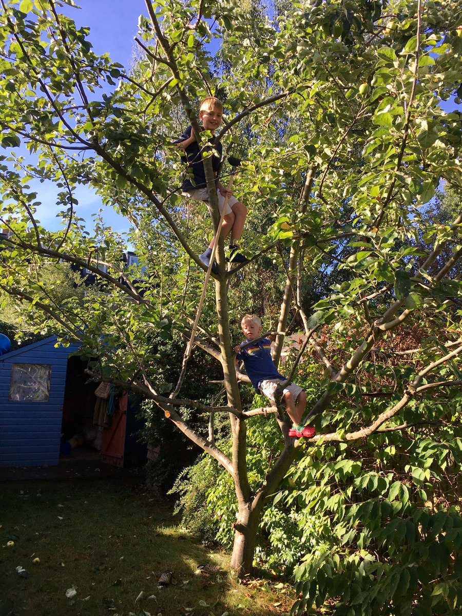 Relationology's tweet photo. Fabulous morning climbing our tree to pick bumper crop of apples for Cider Sunday @HenCorner #weekend #playdaddy https://t.co/7mhoCNPRS3