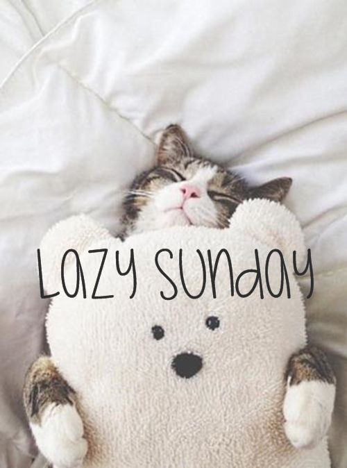 pbchealthuk's tweet photo. Have a lovely Sunday everyone 💗xx #sheffieldissuper #barnsleyisbrill #uksopro https://t.co/lUMX7rbc0s