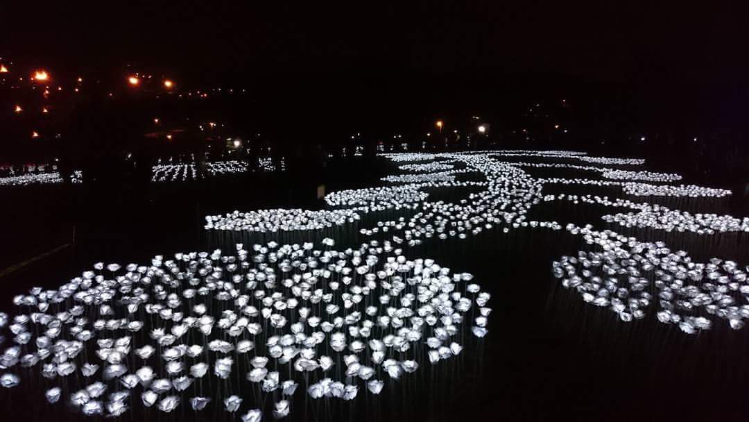 snowlene's tweet photo. #BEAST should perform here. Sweetest date with #b2uties 

Light Sensation, Malaysia. @MYB2UTY 
 
#비스트 #B2ST https://t.co/jKqn9ttZO7