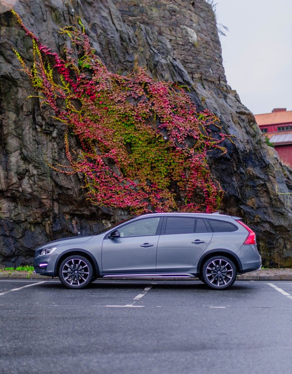 ServiceVolvo's tweet image. Осенние краски