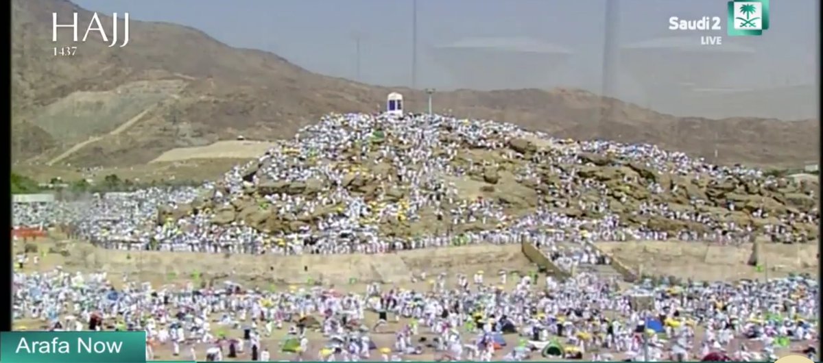 #Arafah now! #HajjDay #Hajj2016