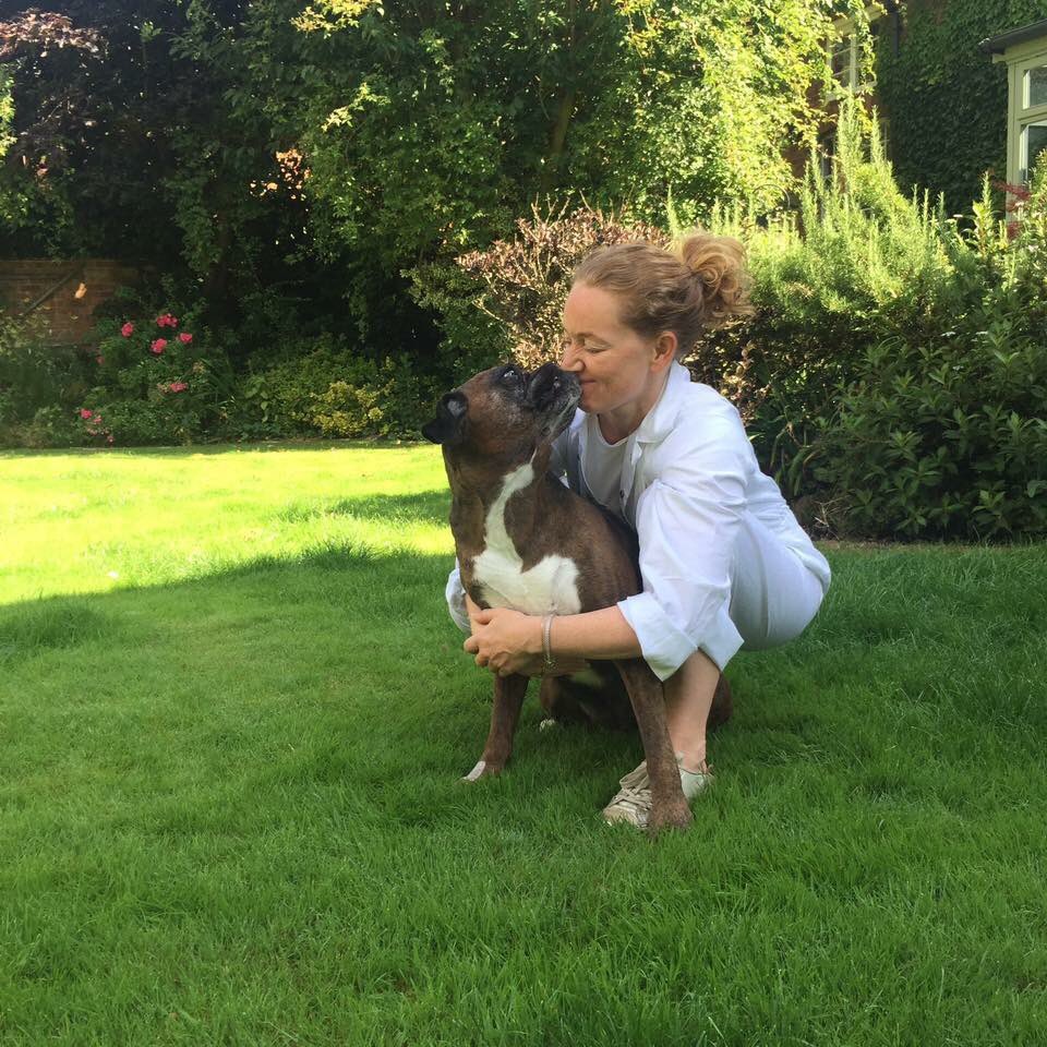 DependablePets's tweet photo. #hugyourhoundday @DogsInTheNews @DogsLoveHownd @WoofWoofNetwork #dogs #hounds #hug #dependablepets https://t.co/0qojG5hZ6p
