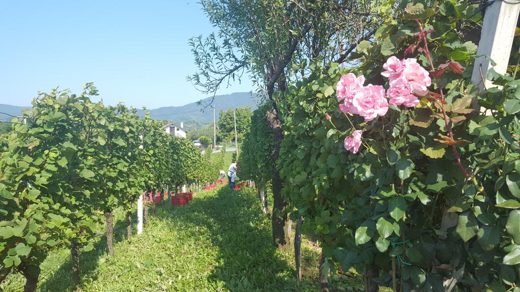 tomacwinery (@tinatomac) on Twitter photo 