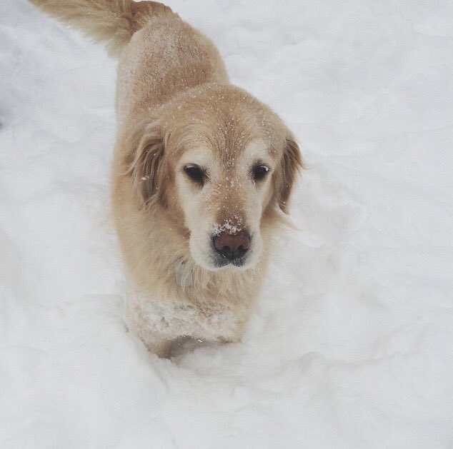 rileylamarre's tweet image. Keep this lil guy in your prayers