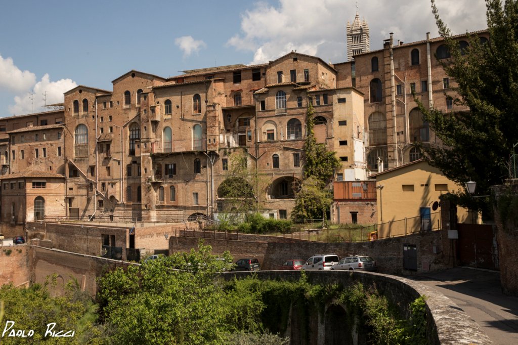SienaBikeTour's tweet photo. if you do not care where you are not you are lost #Siena #SienaBiketour #landscape #lovesiena #lovecycling #holidays https://t.co/HK0NoppLnD