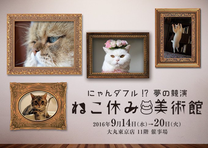 Iamlittleraindrops V Twitter 日本東京9月展覽活動 貓假日美術館 展出明星貓寫真https T Co Uobc0upaza 日本旅行 日本旅遊 東京景點 貓貓相展 貓貓寫真