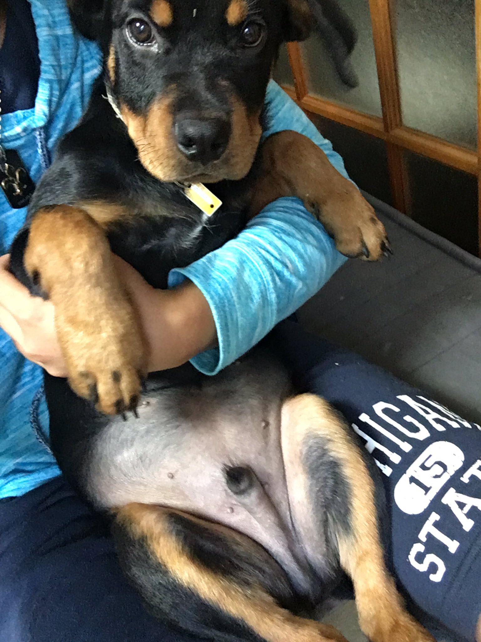 宮 崎 稔 Happy Twitter