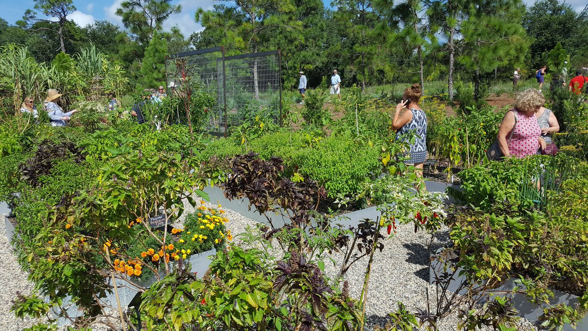 Orlando Sentinel tweet media