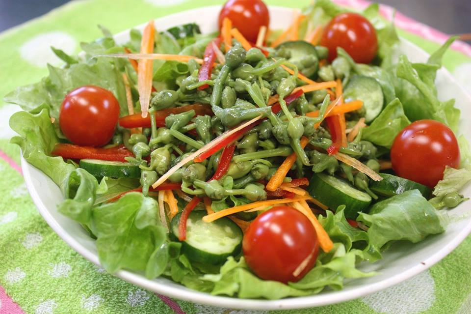 あきたびじょん 秋の山菜といえば みずの玉っこ 山奥のきれいな沢に自生する みず ウワバミソウ は 秋になると赤い実をつけます この実を みずの玉っこ や みずのこぶ と言い 油炒めや醤油漬け お漬け物などで食べます T